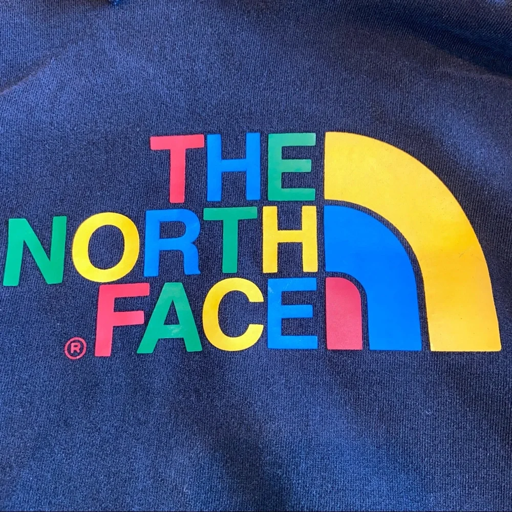 The North Face Half Dome Pullover Hoodie Sweatshirt Black Rainbow Graphic Logo